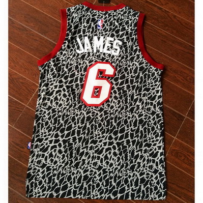 maglia basket miami heat leopard lebron james 6 grigio