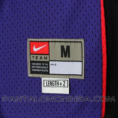 maglia basket vince carter 15 toronto raptors rev30 porpora